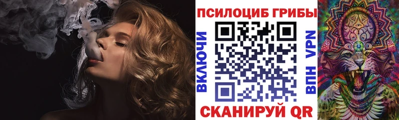 ОМГ ОМГ зеркало  Белая Калитва  Псилоцибиновые грибы Psilocybe 